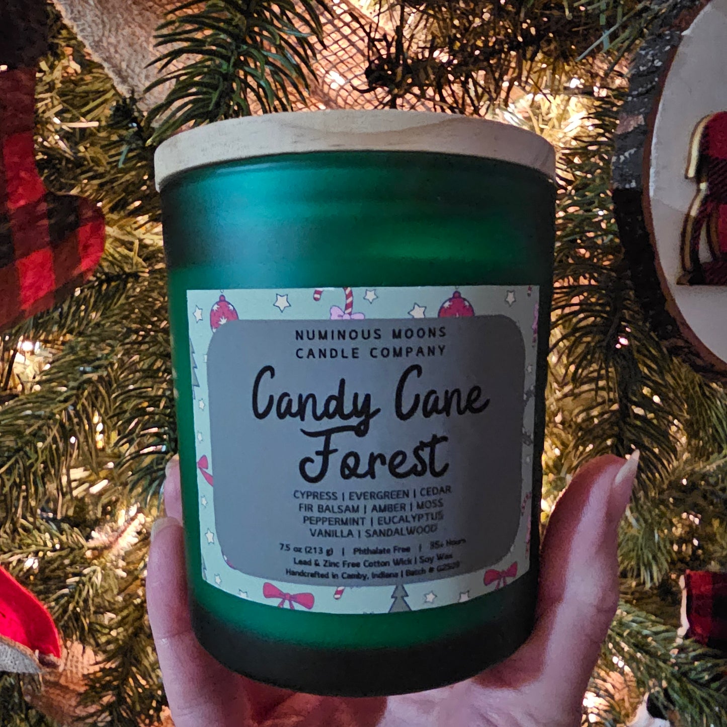 Candy Cane Forest in Frosted Green Vessels