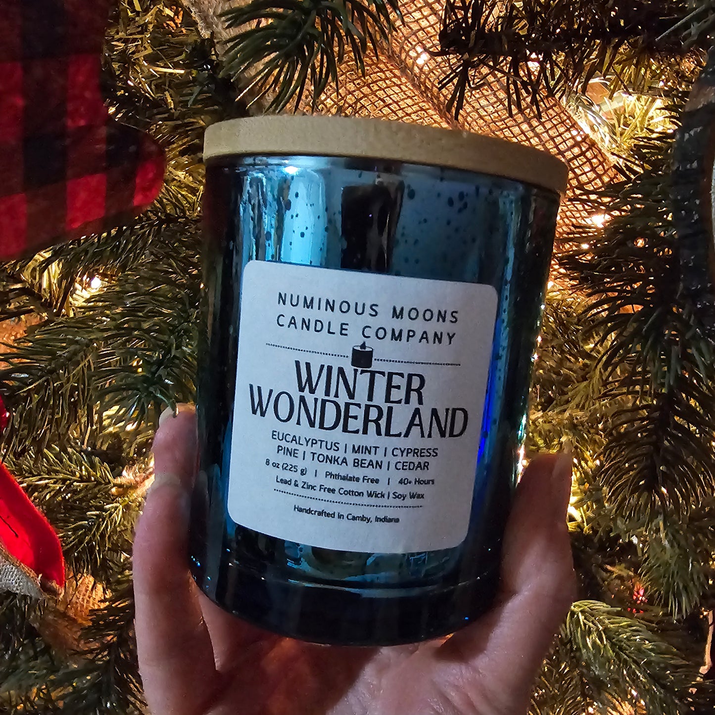 Winder Wonderland in Blue Mercury Vessels