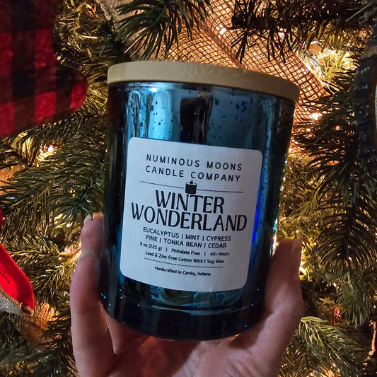 Winder Wonderland in Blue Mercury Vessels