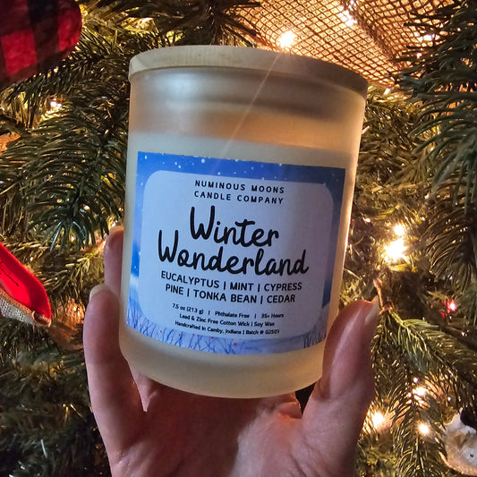 Winter Wonderland in Frosted Vessels